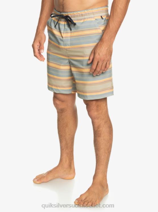 Quiksilver D6JJ104 miehet plaza taupe surf päivän raita taxer print 18 amphibian boardshortsit