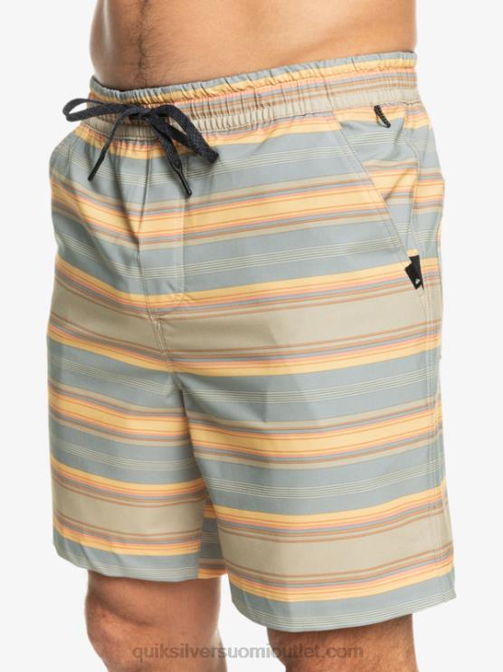 Quiksilver D6JJ104 miehet plaza taupe surf päivän raita taxer print 18 amphibian boardshortsit