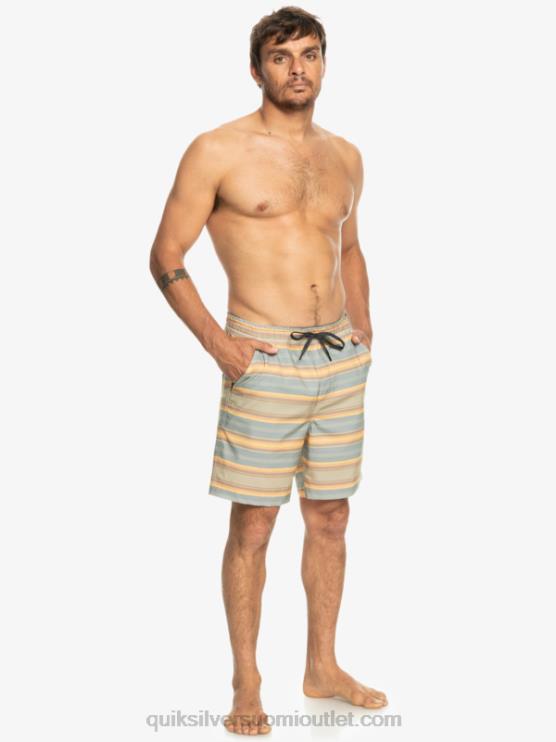 Quiksilver D6JJ104 miehet plaza taupe surf päivän raita taxer print 18 amphibian boardshortsit
