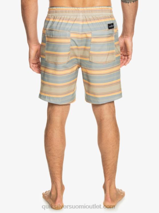 Quiksilver D6JJ104 miehet plaza taupe surf päivän raita taxer print 18 amphibian boardshortsit