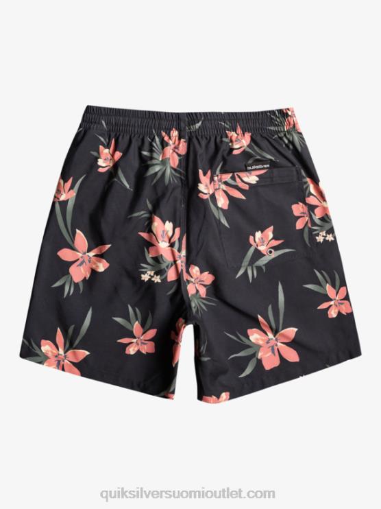 Quiksilver D6JJ1208 miehet asfaltti päivittäinen sekoitus 17 lentopalloa