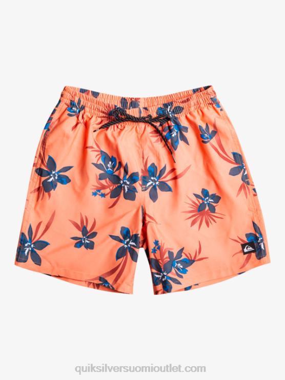 Quiksilver D6JJ1209 miehet tuoretta lohta päivittäinen sekoitus 17 lentopalloa