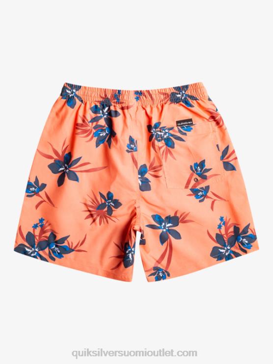 Quiksilver D6JJ1209 miehet tuoretta lohta päivittäinen sekoitus 17 lentopalloa