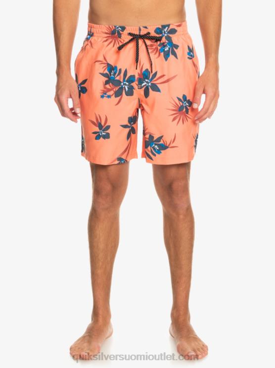 Quiksilver D6JJ1209 miehet tuoretta lohta päivittäinen sekoitus 17 lentopalloa