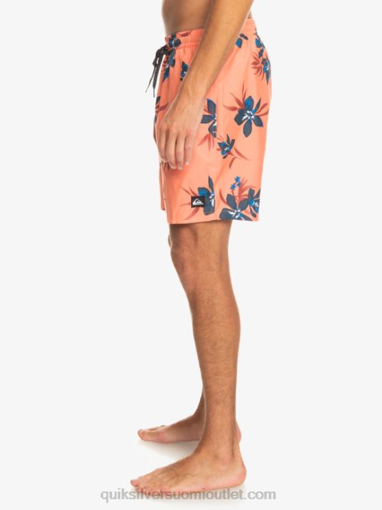 Quiksilver D6JJ1209 miehet tuoretta lohta päivittäinen sekoitus 17 lentopalloa