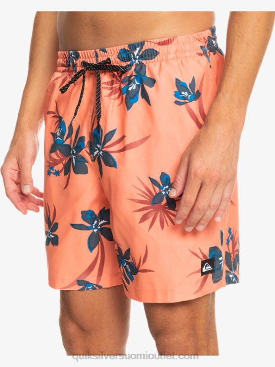 Quiksilver D6JJ1209 miehet tuoretta lohta päivittäinen sekoitus 17 lentopalloa