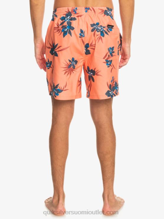 Quiksilver D6JJ1209 miehet tuoretta lohta päivittäinen sekoitus 17 lentopalloa