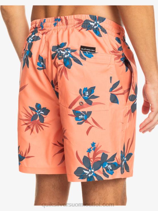 Quiksilver D6JJ1209 miehet tuoretta lohta päivittäinen sekoitus 17 lentopalloa