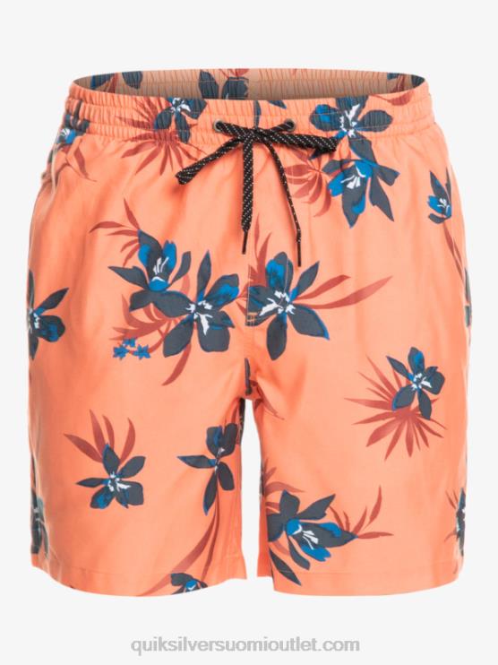 Quiksilver D6JJ1209 miehet tuoretta lohta päivittäinen sekoitus 17 lentopalloa