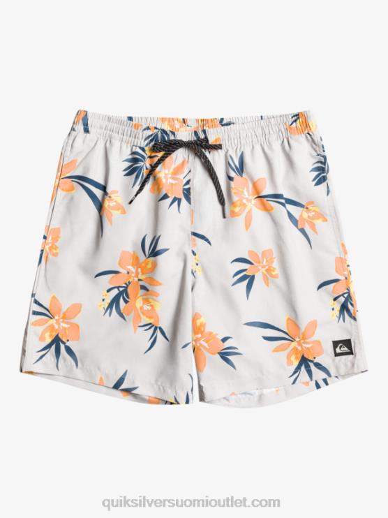 Quiksilver D6JJ1210 miehet harmaa violetti päivittäinen sekoitus 17 lentopalloa