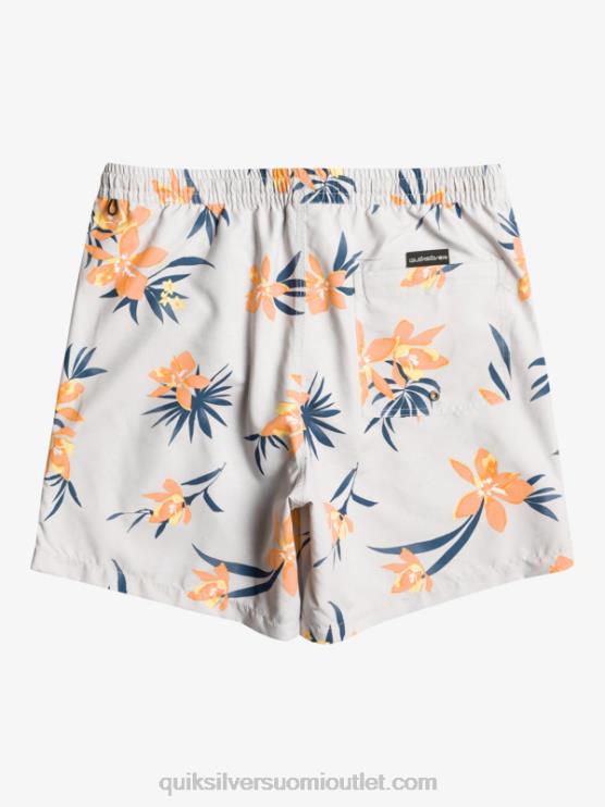 Quiksilver D6JJ1210 miehet harmaa violetti päivittäinen sekoitus 17 lentopalloa
