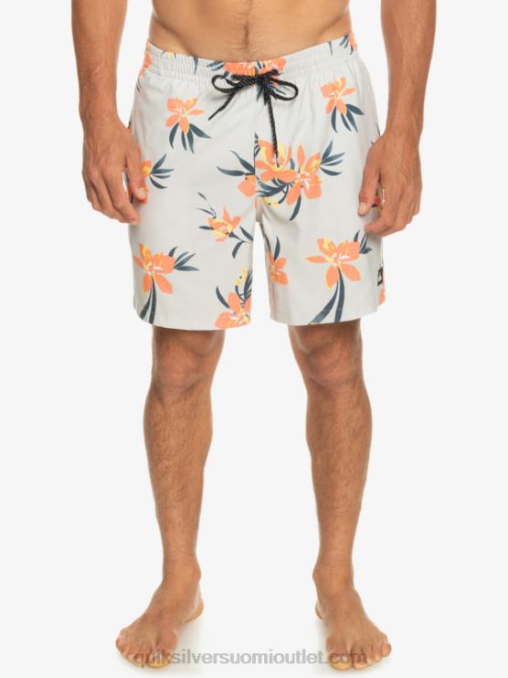 Quiksilver D6JJ1210 miehet harmaa violetti päivittäinen sekoitus 17 lentopalloa