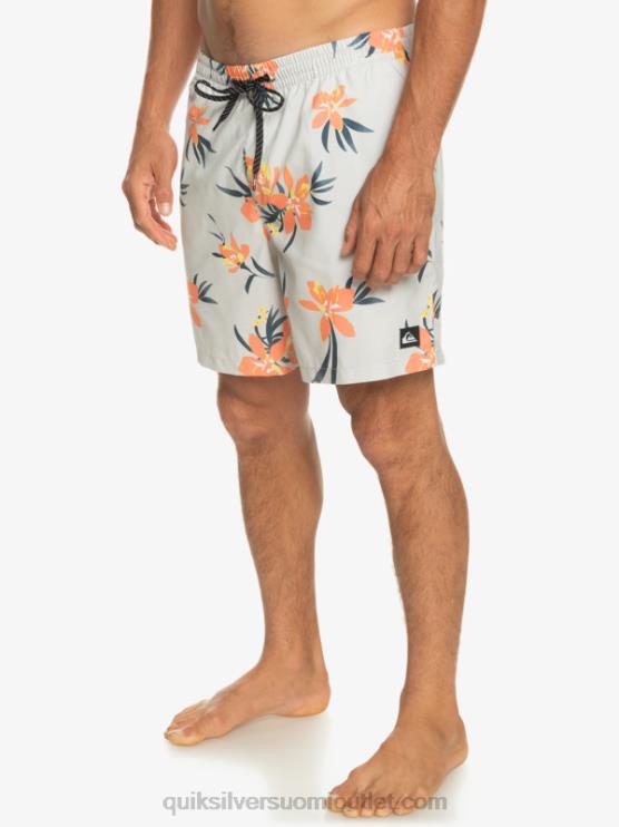 Quiksilver D6JJ1210 miehet harmaa violetti päivittäinen sekoitus 17 lentopalloa