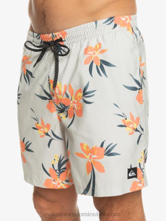 Quiksilver D6JJ1210 miehet harmaa violetti päivittäinen sekoitus 17 lentopalloa