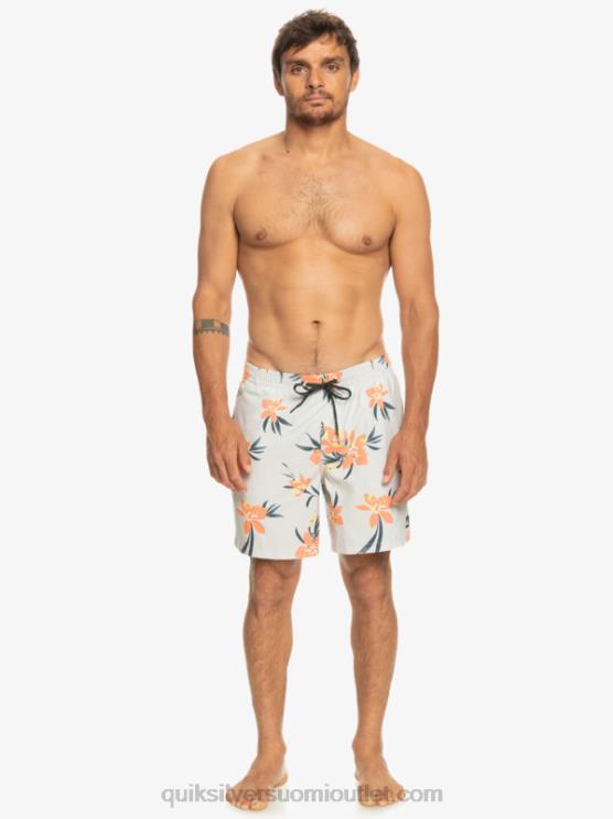 Quiksilver D6JJ1210 miehet harmaa violetti päivittäinen sekoitus 17 lentopalloa