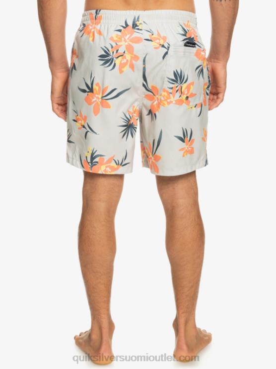 Quiksilver D6JJ1210 miehet harmaa violetti päivittäinen sekoitus 17 lentopalloa