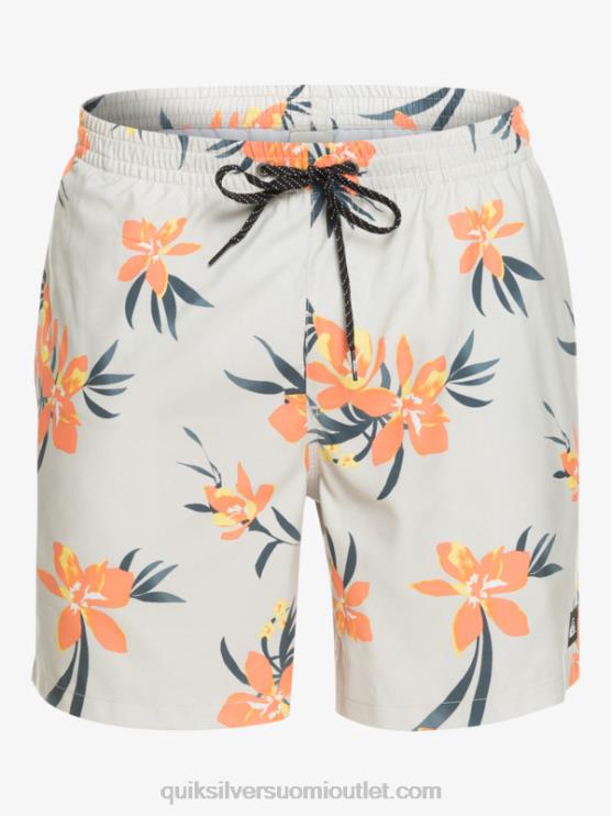 Quiksilver D6JJ1210 miehet harmaa violetti päivittäinen sekoitus 17 lentopalloa
