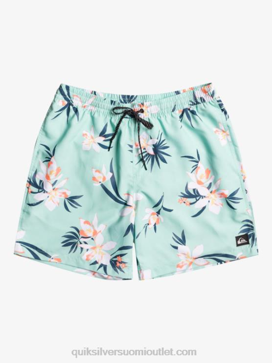 Quiksilver D6JJ1211 miehet rantalasi päivittäinen sekoitus 17 lentopalloa