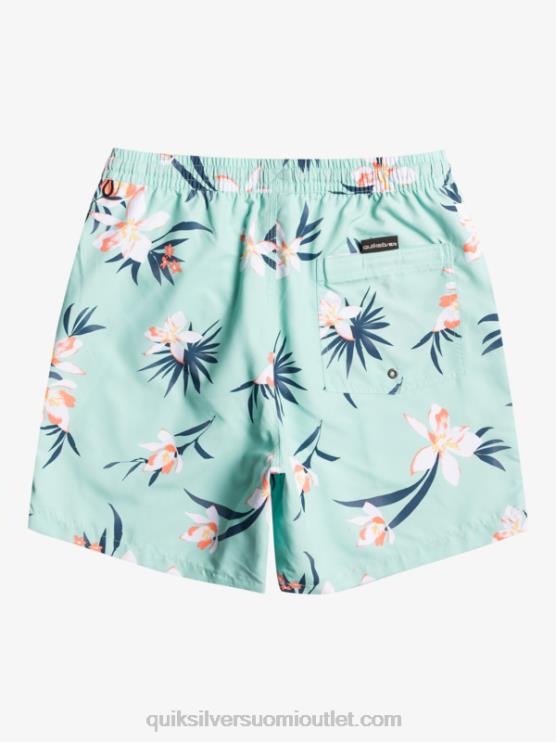 Quiksilver D6JJ1211 miehet rantalasi päivittäinen sekoitus 17 lentopalloa