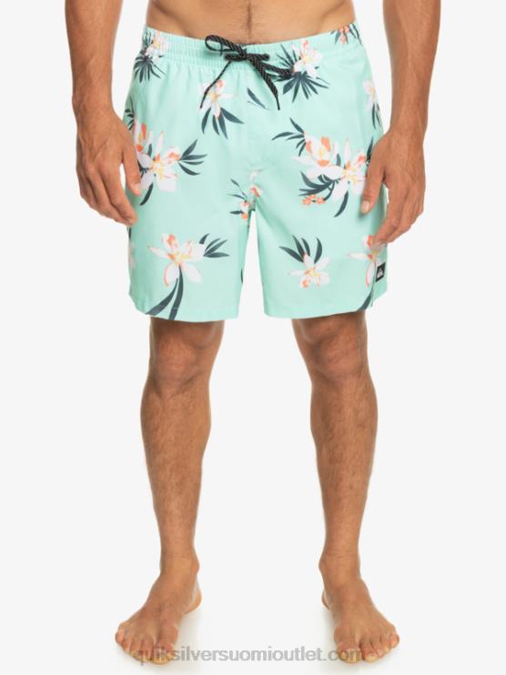 Quiksilver D6JJ1211 miehet rantalasi päivittäinen sekoitus 17 lentopalloa