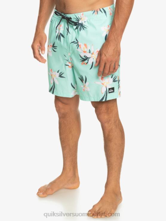 Quiksilver D6JJ1211 miehet rantalasi päivittäinen sekoitus 17 lentopalloa