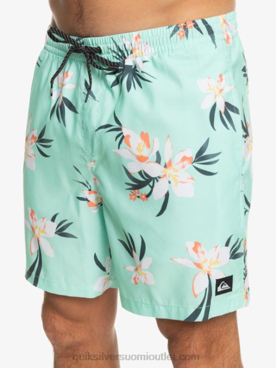 Quiksilver D6JJ1211 miehet rantalasi päivittäinen sekoitus 17 lentopalloa