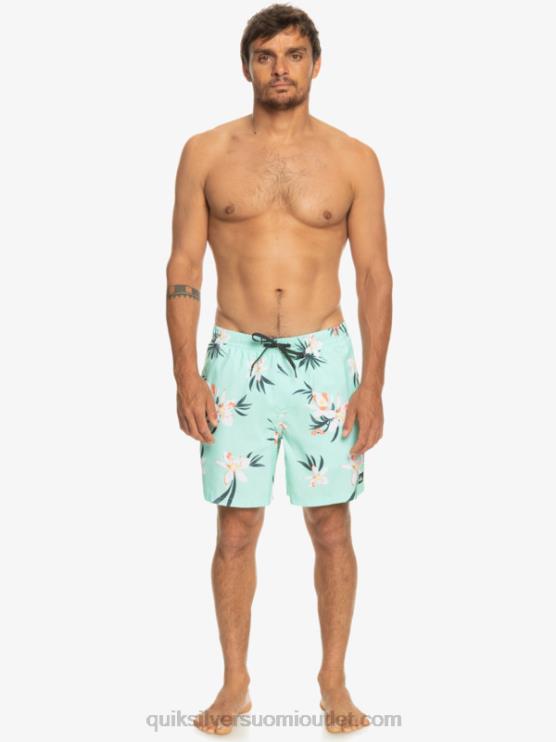 Quiksilver D6JJ1211 miehet rantalasi päivittäinen sekoitus 17 lentopalloa