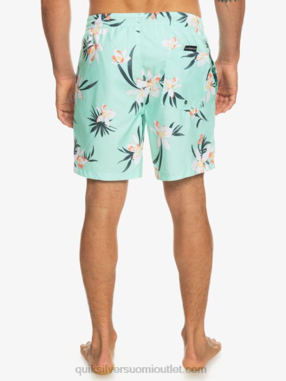 Quiksilver D6JJ1211 miehet rantalasi päivittäinen sekoitus 17 lentopalloa