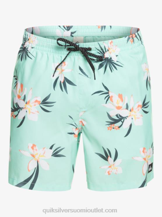 Quiksilver D6JJ1211 miehet rantalasi päivittäinen sekoitus 17 lentopalloa