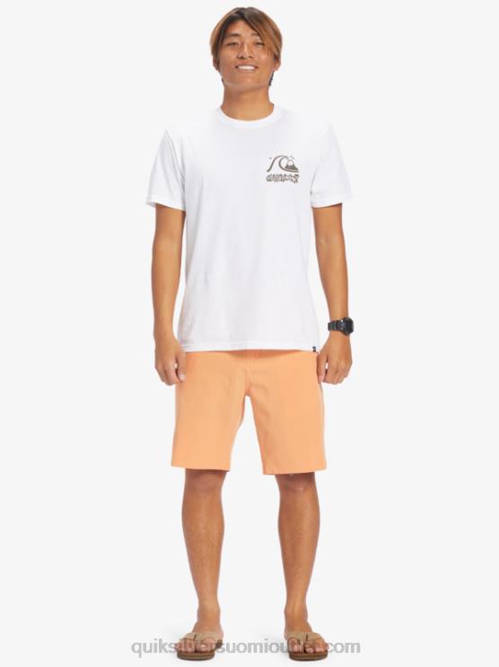 Quiksilver D6JJ143 miehet kuparirusketus ocean union amphibian 20 hybridishortsit