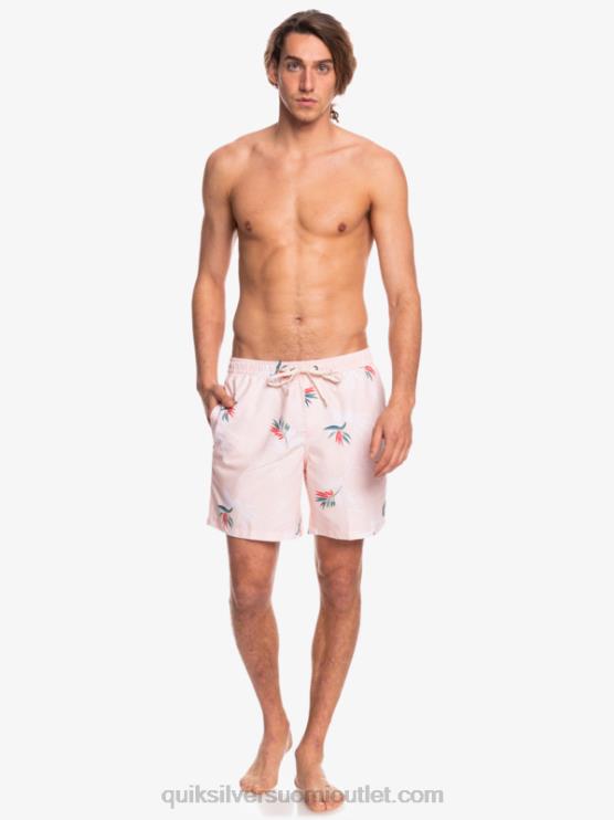 Quiksilver D6JJ1467 miehet verhottu ruusu päivittäinen sekoitus 17 lentopalloa