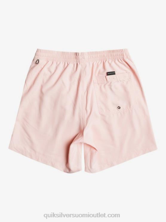 Quiksilver D6JJ1527 miehet pehmeä pinkki päivittäin 17 lentopalloa