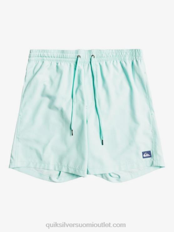 Quiksilver D6JJ1529 miehet sininen valo päivittäin 17 lentopalloa