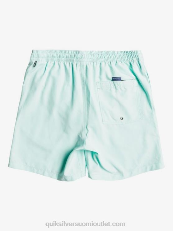 Quiksilver D6JJ1529 miehet sininen valo päivittäin 17 lentopalloa