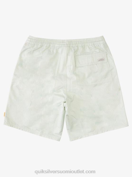 Quiksilver D6JJ1843 miehet hienovarainen vihreä kansiraita vesimies kansiraita 19 lentopalloa