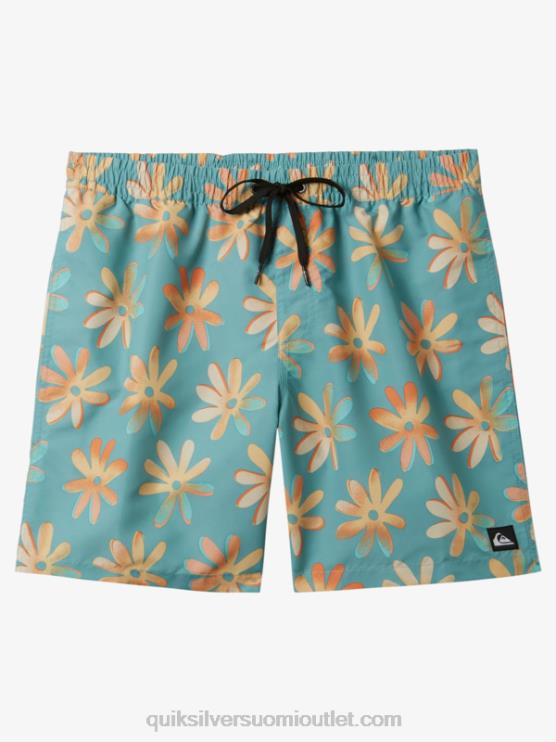 Quiksilver D6JJ353 miehet cameo sininen sekoita uudelleen 17 lentopalloa
