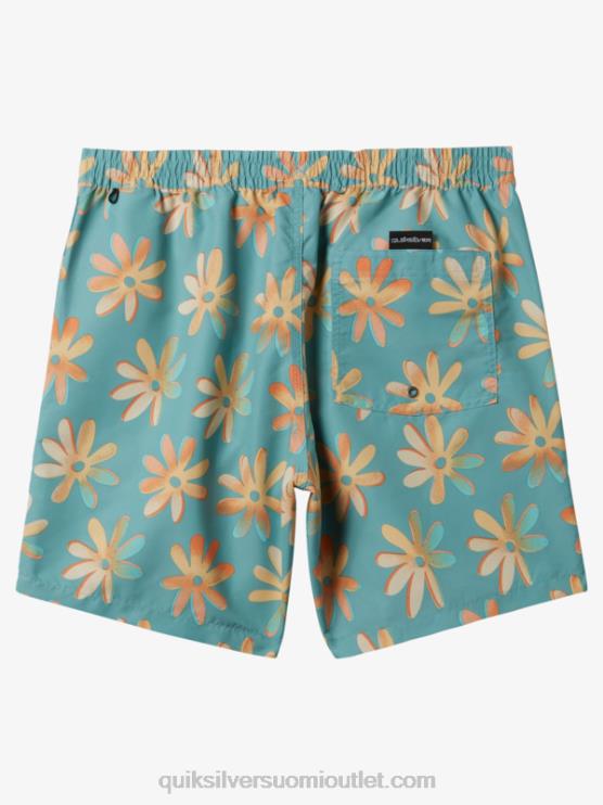 Quiksilver D6JJ353 miehet cameo sininen sekoita uudelleen 17 lentopalloa
