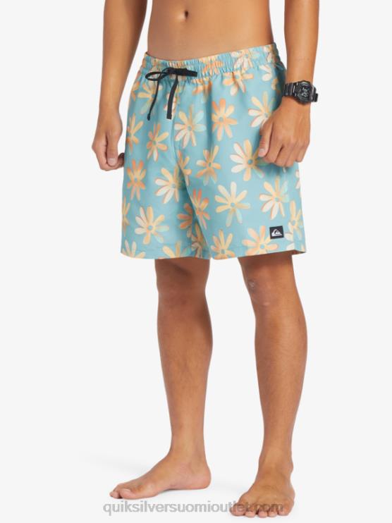 Quiksilver D6JJ353 miehet cameo sininen sekoita uudelleen 17 lentopalloa