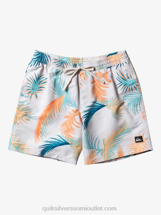 Quiksilver D6JJ355 miehet koivu sekoita uudelleen 17 lentopalloa