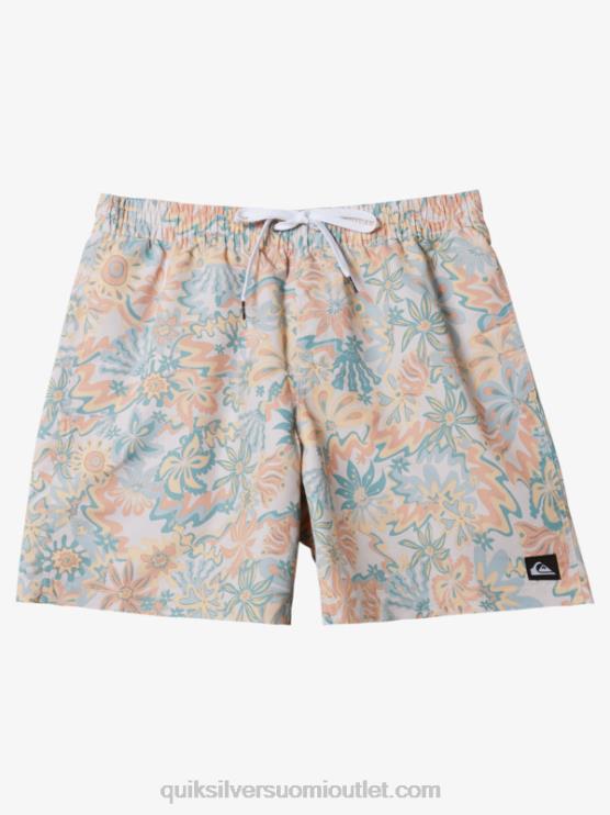 Quiksilver D6JJ357 miehet koivu sekoita uudelleen 17 lentopalloa