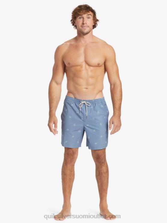 Quiksilver D6JJ395 miehet lipun siniset pienet polkimet v vesimies pienet polkimet 17 lentopalloa