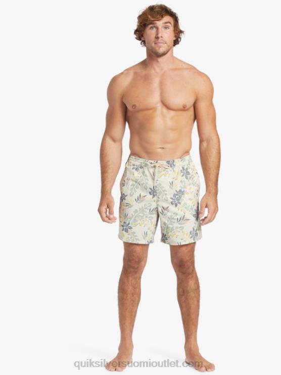 Quiksilver D6JJ408 miehet ruskea riisi täydellinen tunne vesimies täydellinen fiilis 17 lentopalloa