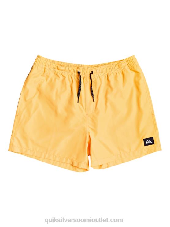 Quiksilver D6JJ459 miehet oranssi pop päivittäin 15 lentopalloa