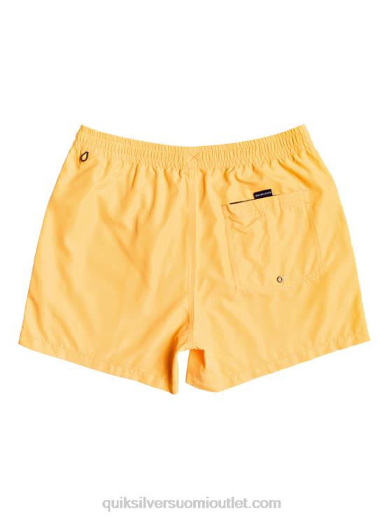 Quiksilver D6JJ459 miehet oranssi pop päivittäin 15 lentopalloa