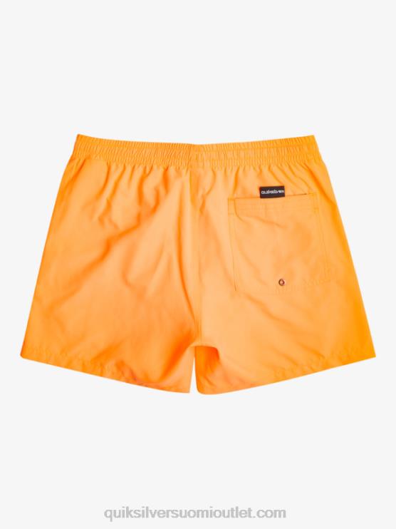 Quiksilver D6JJ459 miehet oranssi pop päivittäin 15 lentopalloa