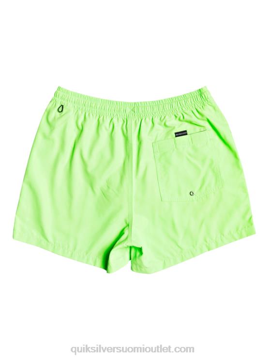 Quiksilver D6JJ460 miehet vihreä gekko päivittäin 15 lentopalloa