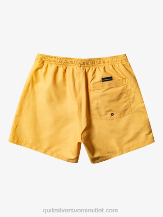 Quiksilver D6JJ462 miehet keltuainen keltainen päivittäin 15 lentopalloa
