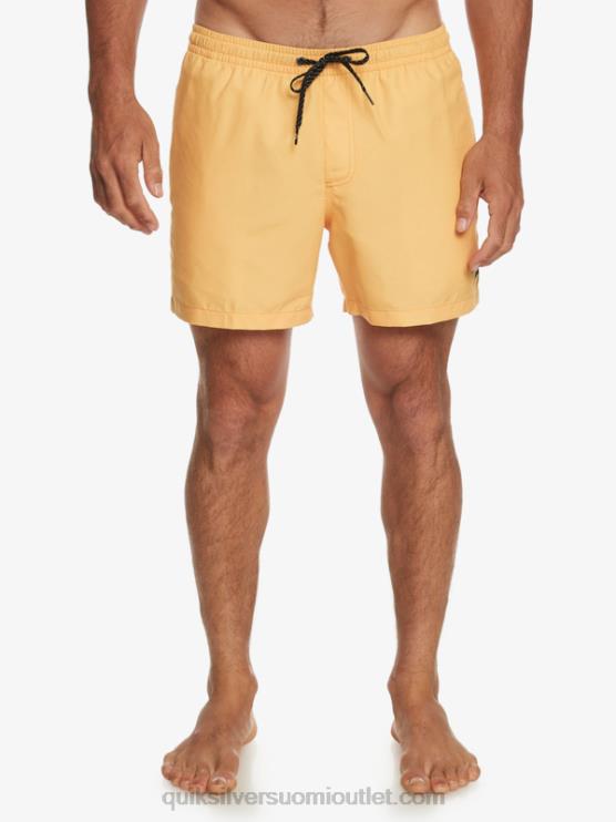 Quiksilver D6JJ462 miehet keltuainen keltainen päivittäin 15 lentopalloa