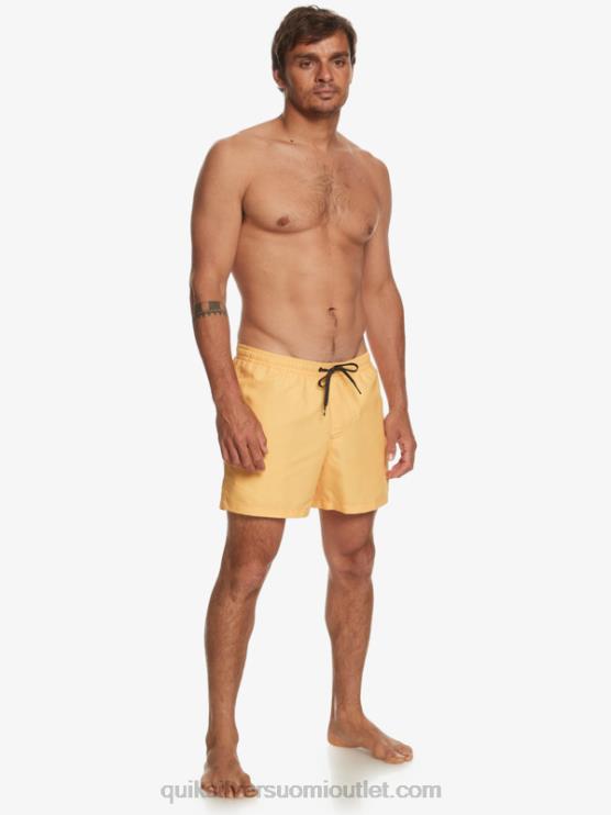 Quiksilver D6JJ462 miehet keltuainen keltainen päivittäin 15 lentopalloa