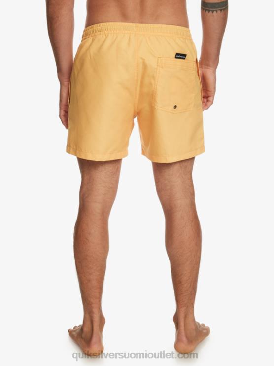 Quiksilver D6JJ462 miehet keltuainen keltainen päivittäin 15 lentopalloa